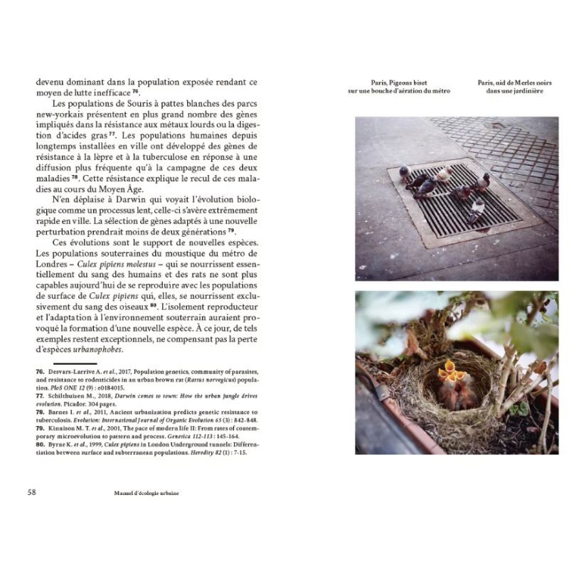 Manuel d’écologie urbaine Manuel d’écologie urbaine