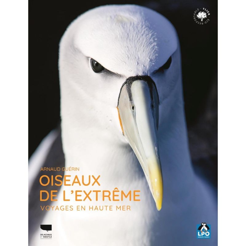 Oiseaux de l'extrême