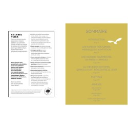 Chouettes et hiboux - Les yeux dans les yeux