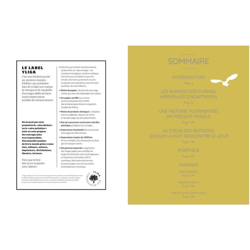 Chouettes et hiboux - Les yeux dans les yeux