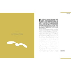 Chouettes et hiboux - Les yeux dans les yeux