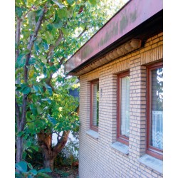 Nichoir double pour Hirondelle de fenêtre - Schwegler (N° 9A - 310/2)