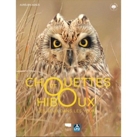 Chouettes et hiboux - Les yeux dans les yeux