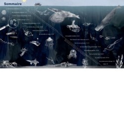 Sous l'océan - A la découverte des grands fonds - AG