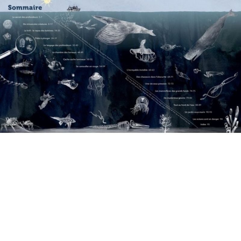 Sous l'océan - A la découverte des grands fonds - AG