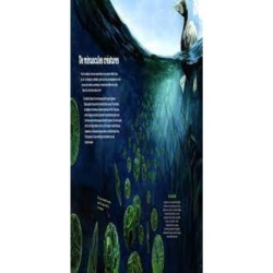 Sous l'océan - A la découverte des grands fonds - AG