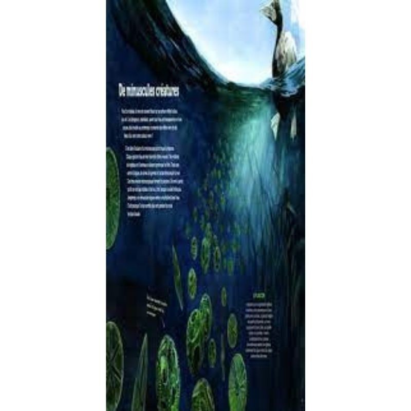 Sous l'océan - A la découverte des grands fonds - AG