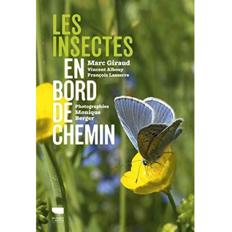 Les insectes en bord de chemin