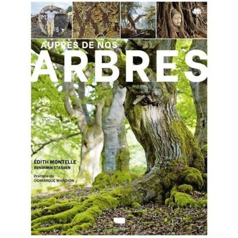 Auprès de nos arbres - Anti-gaspi