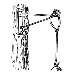 Support en forme de T - Schwegler (196/2)