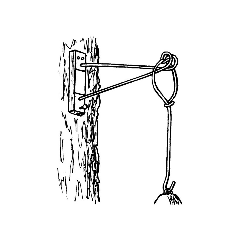 Support en forme de T - Schwegler (196/2)