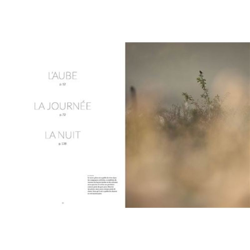 La Nature à 200 m de chez moi - Anti-gaspi La Nature à 200 m de chez moi - Anti-gaspi