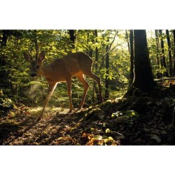 La Nature à 200 m de chez moi - Anti-gaspi La Nature à 200 m de chez moi - Anti-gaspi