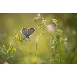 La Nature à 200 m de chez moi - Anti-gaspi La Nature à 200 m de chez moi - Anti-gaspi