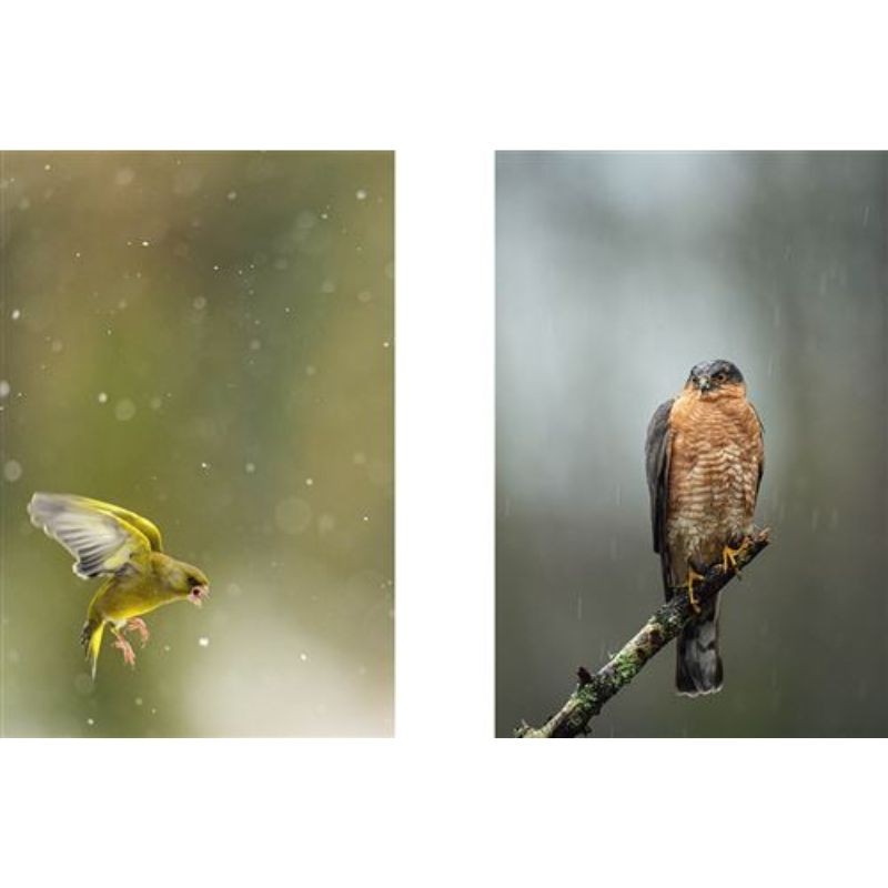 La Nature à 200 m de chez moi - Anti-gaspi La Nature à 200 m de chez moi - Anti-gaspi