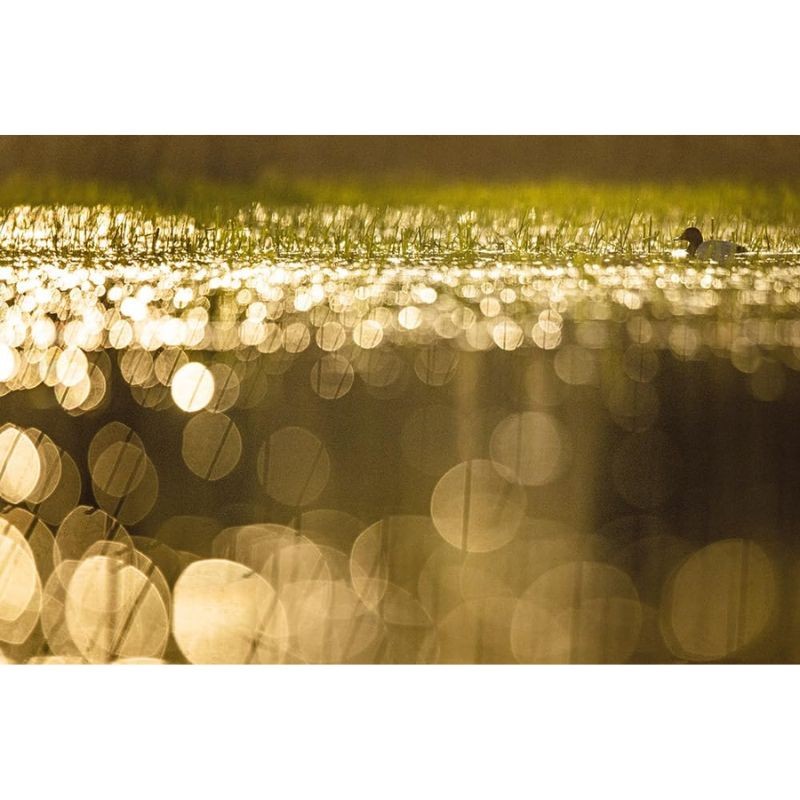 La rivière en bas de chez moi - Anti-gaspi