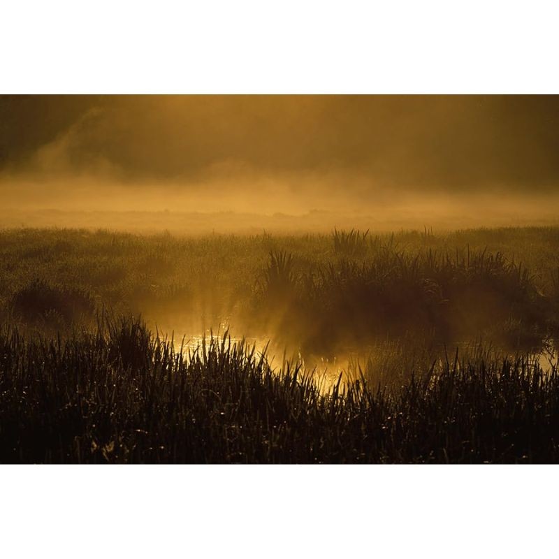 La rivière en bas de chez moi - Anti-gaspi