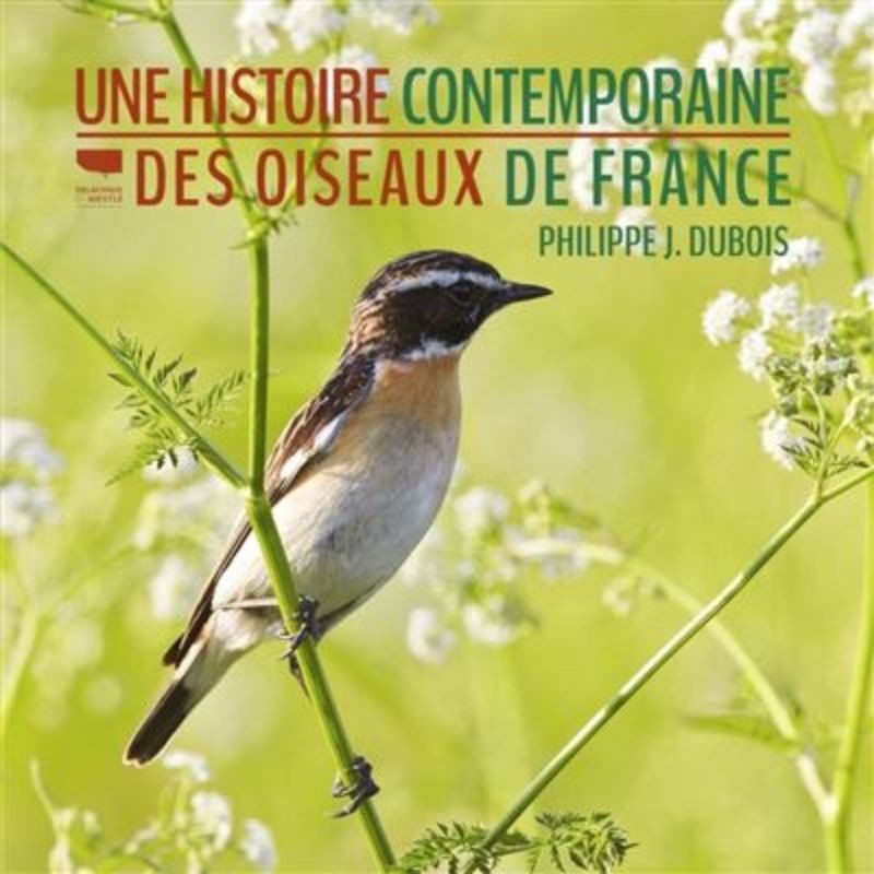 Une histoire contemporaine des oiseaux de France - Anti-gaspi