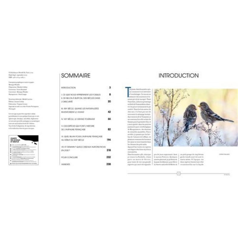 Une histoire contemporaine des oiseaux de France - Anti-gaspi