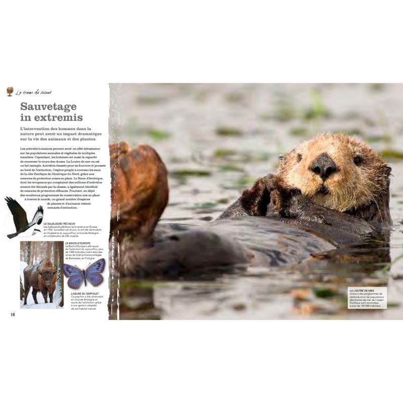 Le Grand Livre de la Nature - Toutes les richesses de notre Planète