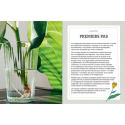 Tout faire pousser gratuitement - Fleurs, fruits, légumes, herbes aromatiques