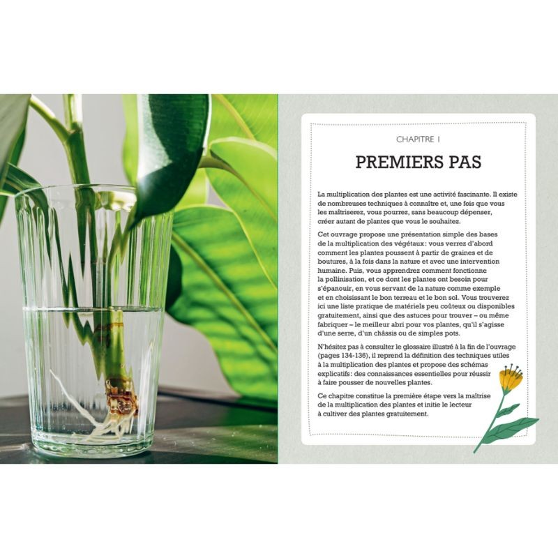 Tout faire pousser gratuitement - Fleurs, fruits, légumes, herbes aromatiques