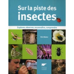 Sur la piste des insectes - Explorer, observer, reconnaître, comprendre