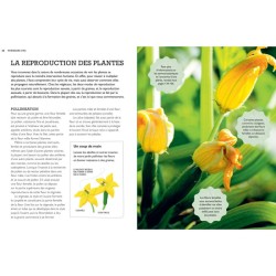 Tout faire pousser gratuitement - Fleurs, fruits, légumes, herbes aromatiques