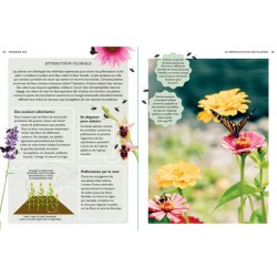 Tout faire pousser gratuitement - Fleurs, fruits, légumes, herbes aromatiques