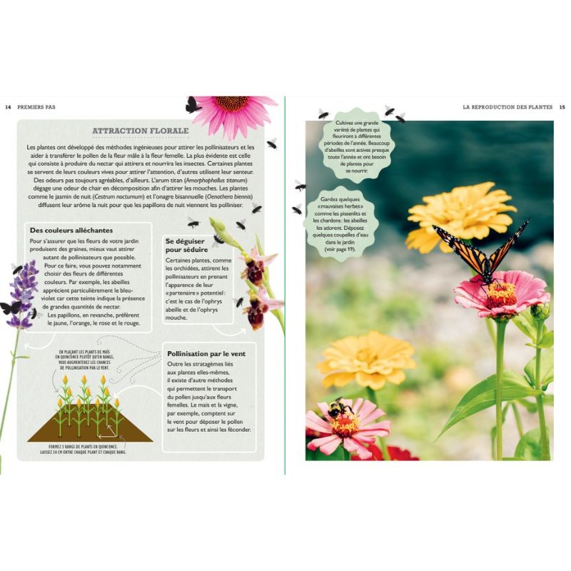 Tout faire pousser gratuitement - Fleurs, fruits, légumes, herbes aromatiques