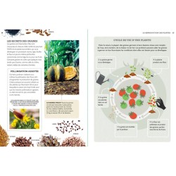 Tout faire pousser gratuitement - Fleurs, fruits, légumes, herbes aromatiques