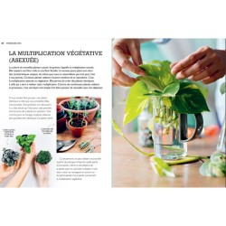 Tout faire pousser gratuitement - Fleurs, fruits, légumes, herbes aromatiques