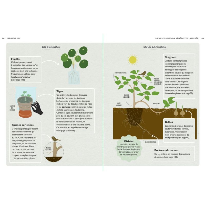 Tout faire pousser gratuitement - Fleurs, fruits, légumes, herbes aromatiques