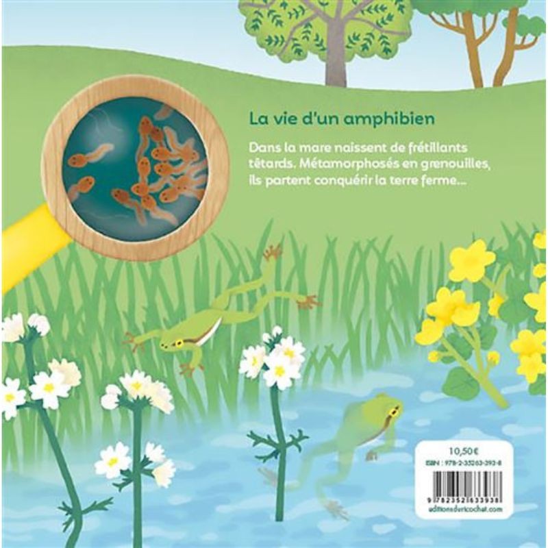 Les P'tites grenouilles Les P'tites grenouilles