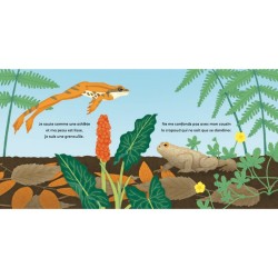 Les P'tites grenouilles Les P'tites grenouilles