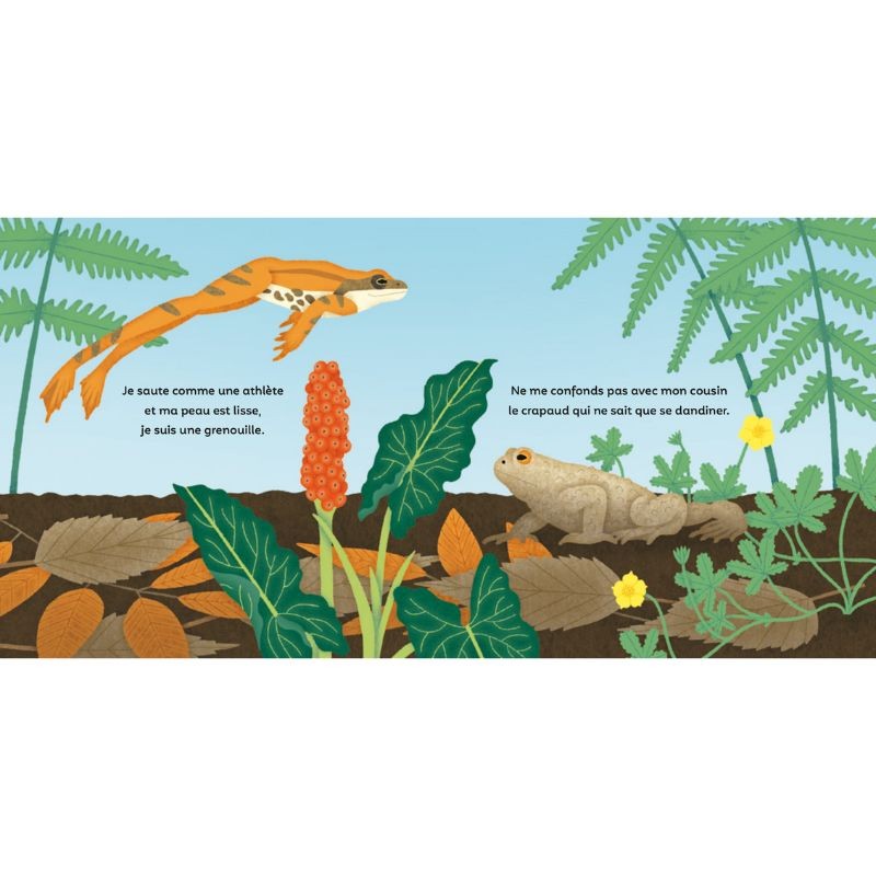 Les P'tites grenouilles Les P'tites grenouilles