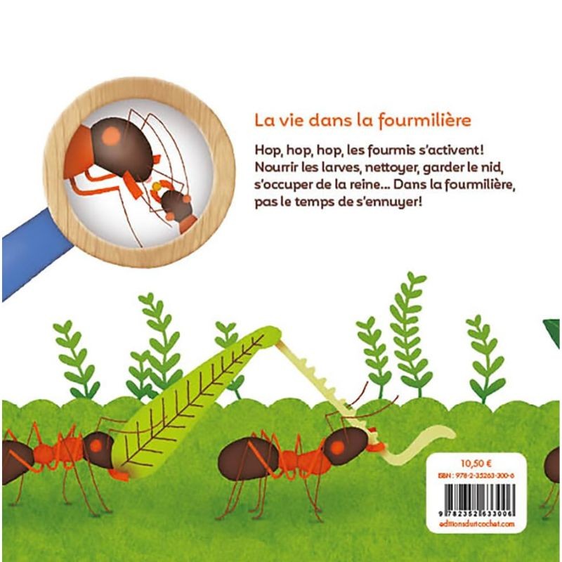 Les P'tites fourmis