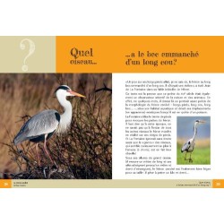 Quel oiseau ? 60 questions/réponses pour percer les secrets de nos oiseaux Quel oiseau ? 60 questions/réponses pour percer les secrets de nos oiseaux