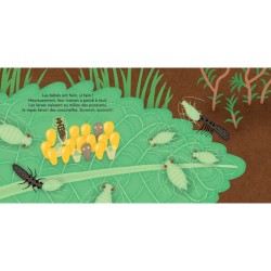 Les p'tites coccinelles