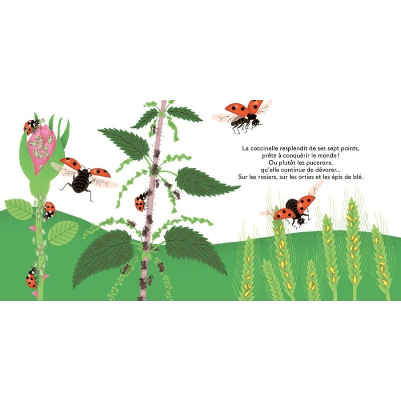 Les p'tites coccinelles