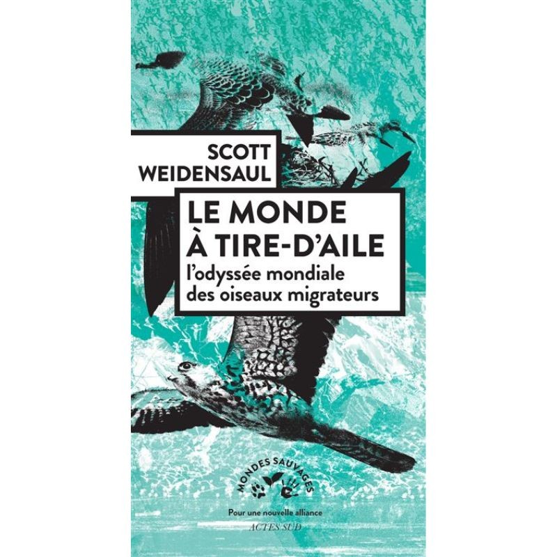 Le monde à tire-d'aile - L'odyssée mondiale des oiseaux migrateurs