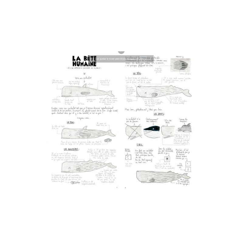 S'il te plaît, dessine-moi un cachalot S'il te plaît, dessine-moi un cachalot