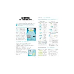 S'il te plaît, dessine-moi un cachalot S'il te plaît, dessine-moi un cachalot