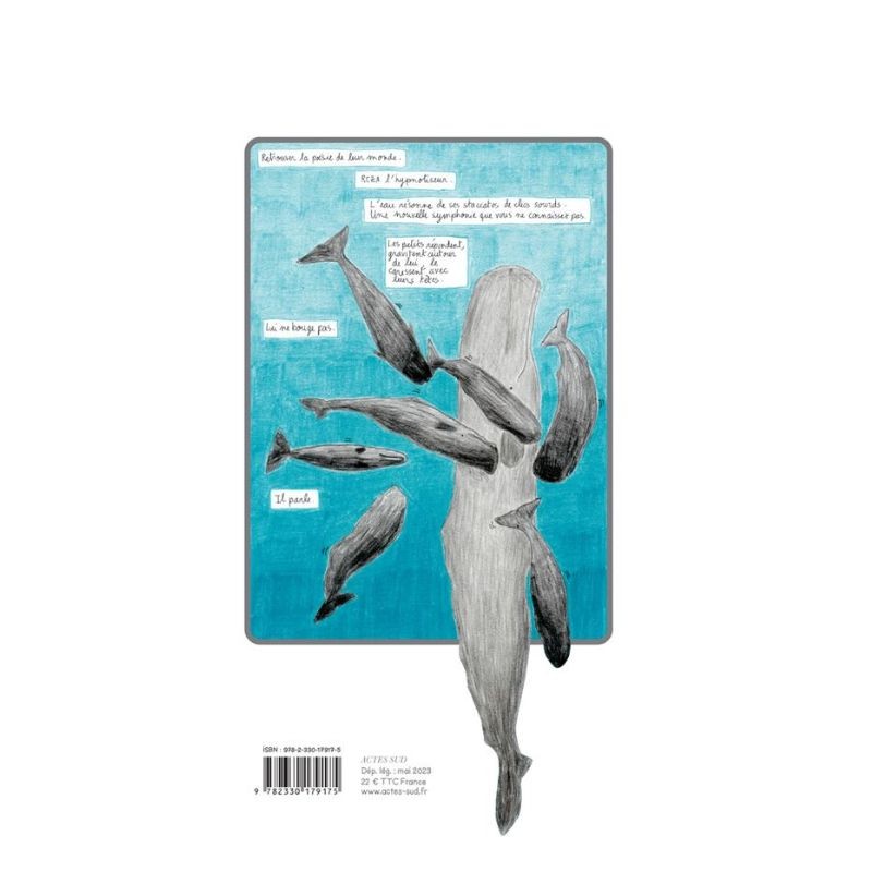 S'il te plaît, dessine-moi un cachalot S'il te plaît, dessine-moi un cachalot