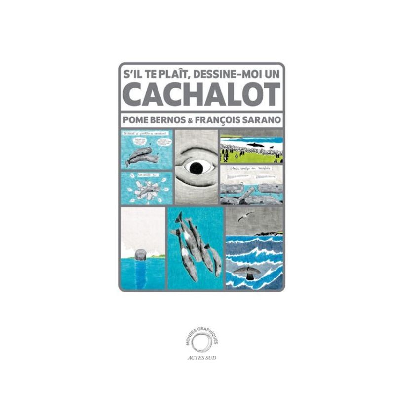 S'il te plaît, dessine-moi un cachalot