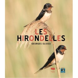 Les Hirondelles