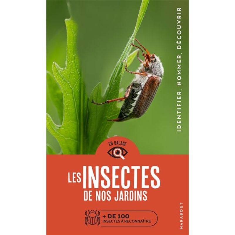 Les insectes de nos jardins - Identifier - Nommer - Découvrir