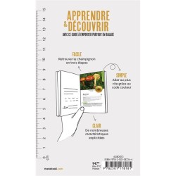 Les champignons des sous bois - Identifier - Nommer - Découvrir