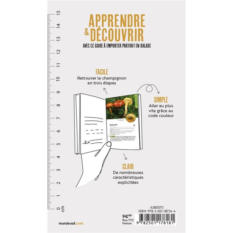 Les champignons des sous bois - Identifier - Nommer - Découvrir