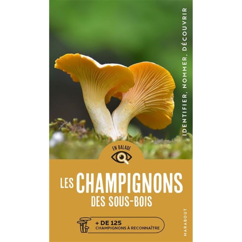 Les champignons des sous bois - Identifier - Nommer - Découvrir